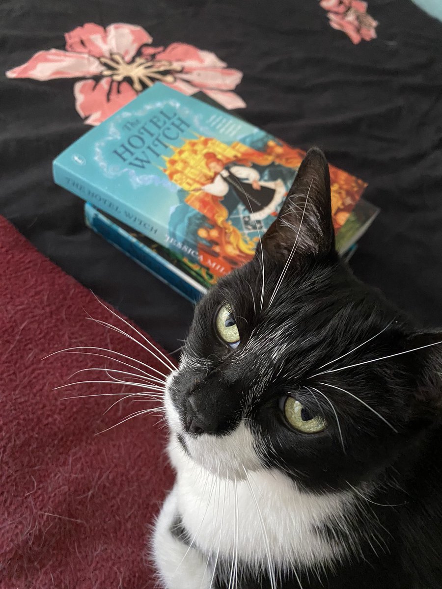 Miss Maggie and I are both very excited about The Hotel Witch by <a href="/jess_icamiller/">Jessica Miller</a> and we can’t wait to read it! #newbooks #awesome 😊