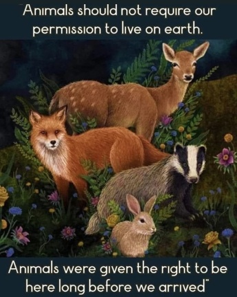 veganfuture's tweet photo. https://t.co/SRvJG6MpEr