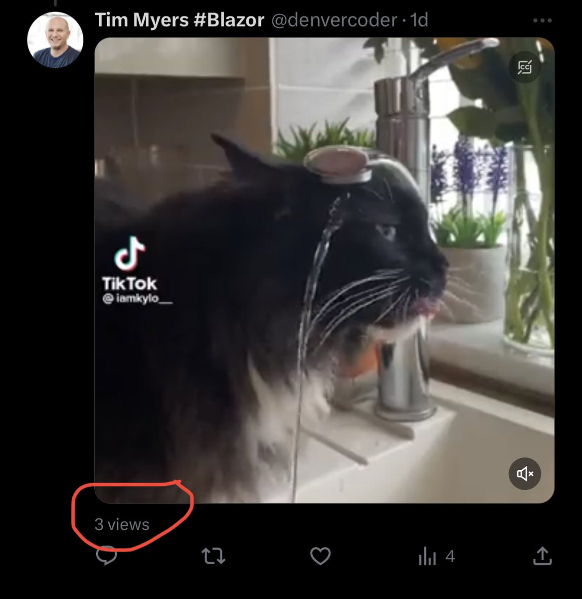 BlazorTim's tweet image. Threads don’t work on Twitter. These are 4 consecutive videos in a thread. Each one hilariously funny.