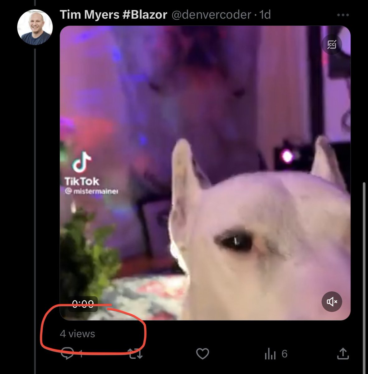 BlazorTim's tweet image. Threads don’t work on Twitter. These are 4 consecutive videos in a thread. Each one hilariously funny.