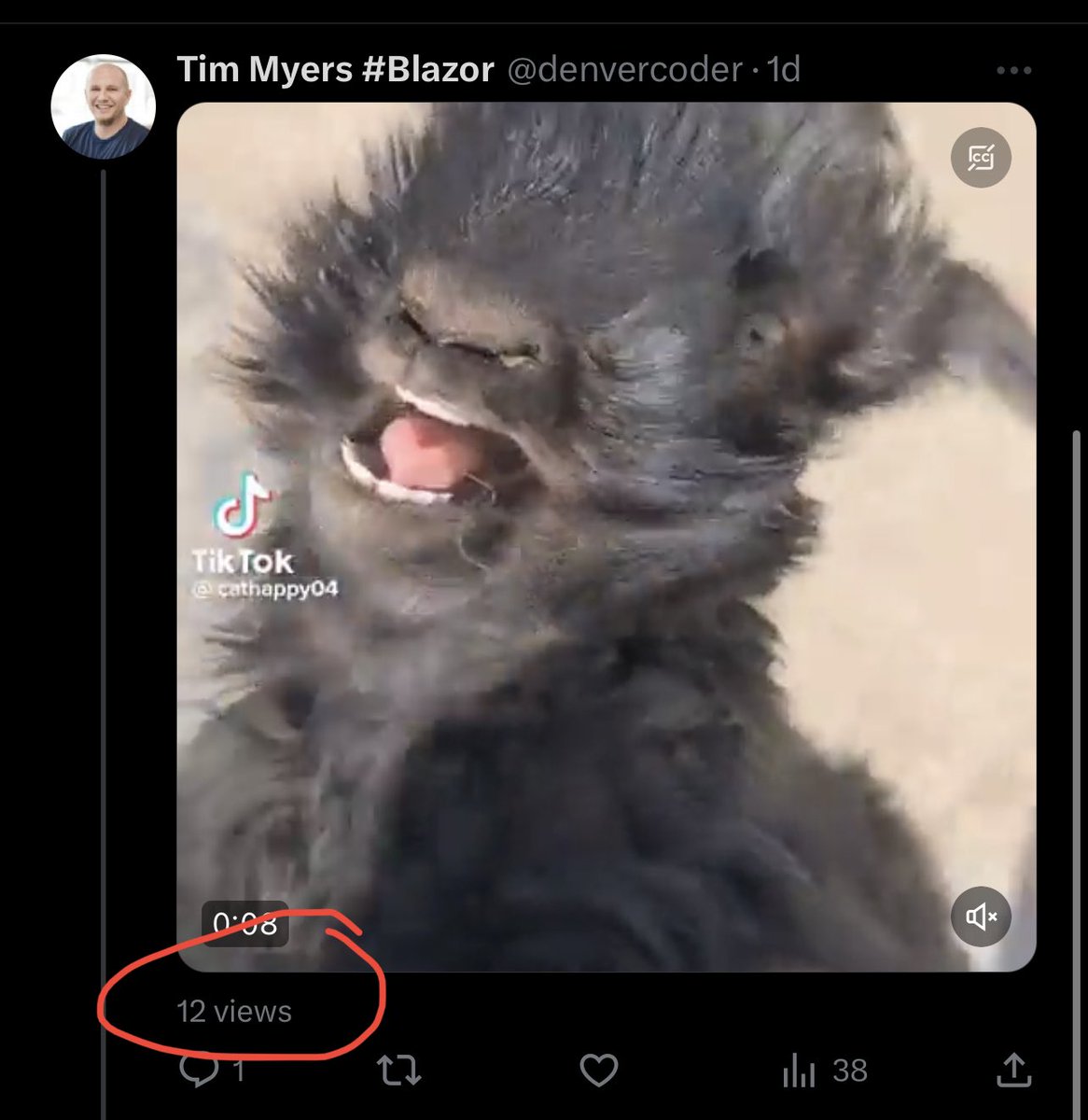 BlazorTim's tweet image. Threads don’t work on Twitter. These are 4 consecutive videos in a thread. Each one hilariously funny.