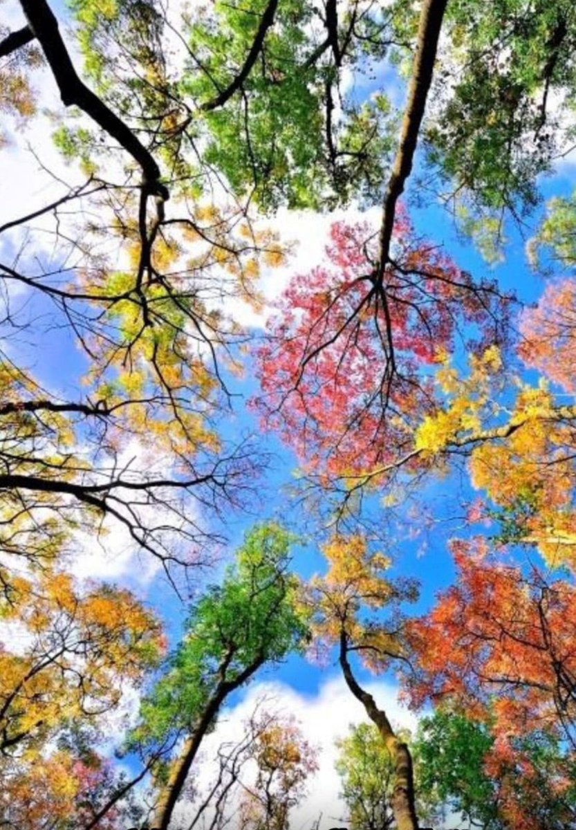 AdiTalks3's tweet image. It’s a #beautiful day