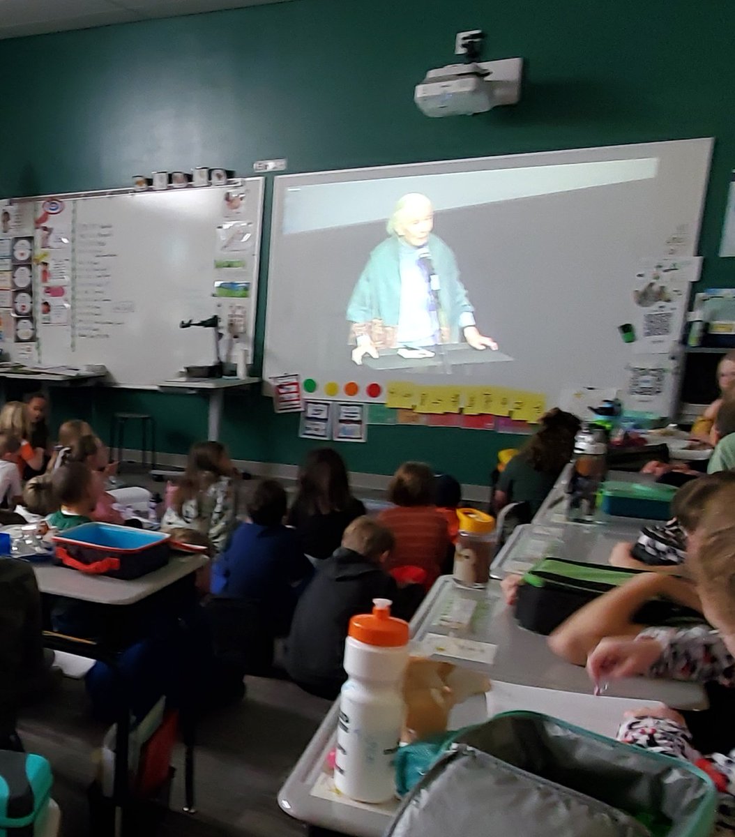 Watching Jane Goodall through ⁦<a href="/DenverMuseumNS/">Denver Museum</a> . Special day in our classroom today.