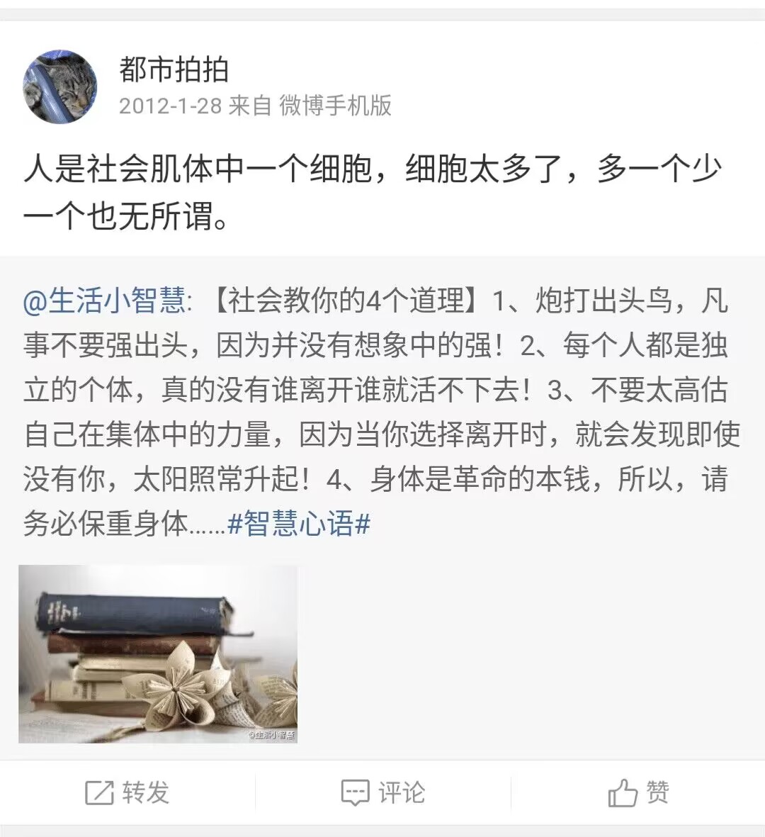 仿生柴九 tweet media