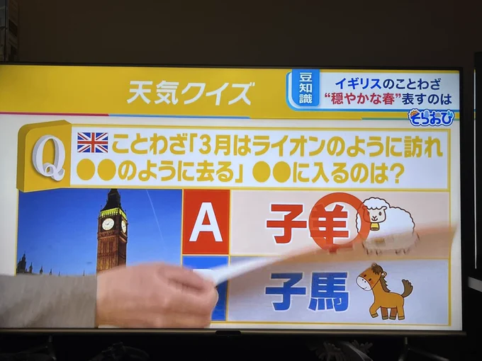 あ!子羊かぁ! 