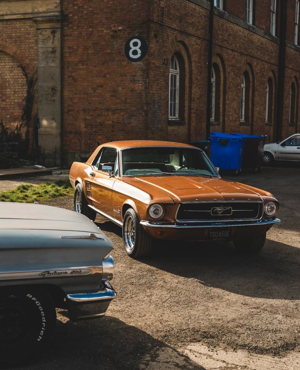 RockMotorenCafe's tweet photo. Fierros viejos 🙌🏼 #Mustang https://t.co/h4g6OE3HUM