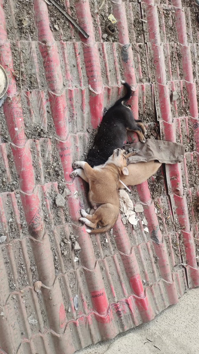 sudhir kumar tweet media