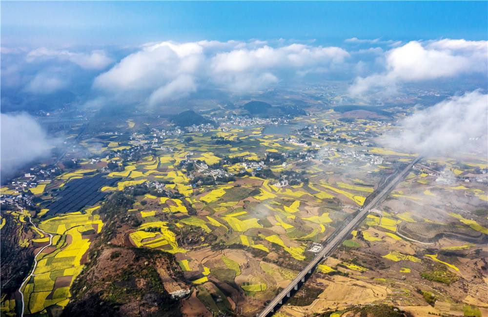 DiscoverGuizhou's tweet photo. Good morning! The mountain fields of 📍Qianxi City, #Guizhou are draped in mist, resembling rolling waves, while spring flowers sparkle in the golden light. A surreal and breathtaking sight that truly feels like a fairy tale. #Bijie#morning https://t.co/6MNN3N7oQf