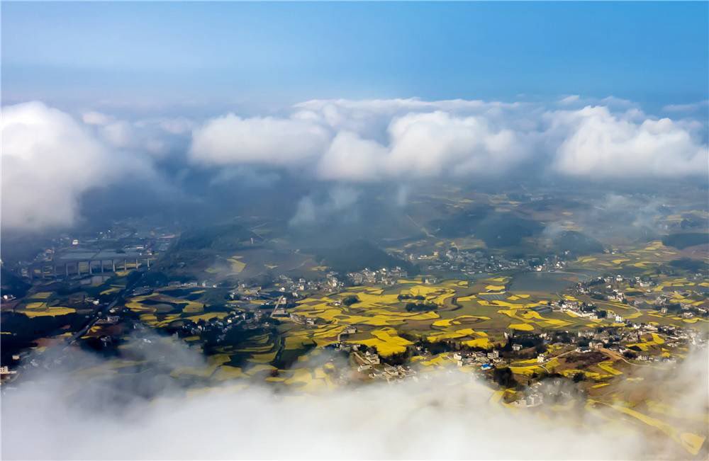 DiscoverGuizhou's tweet photo. Good morning! The mountain fields of 📍Qianxi City, #Guizhou are draped in mist, resembling rolling waves, while spring flowers sparkle in the golden light. A surreal and breathtaking sight that truly feels like a fairy tale. #Bijie#morning https://t.co/6MNN3N7oQf