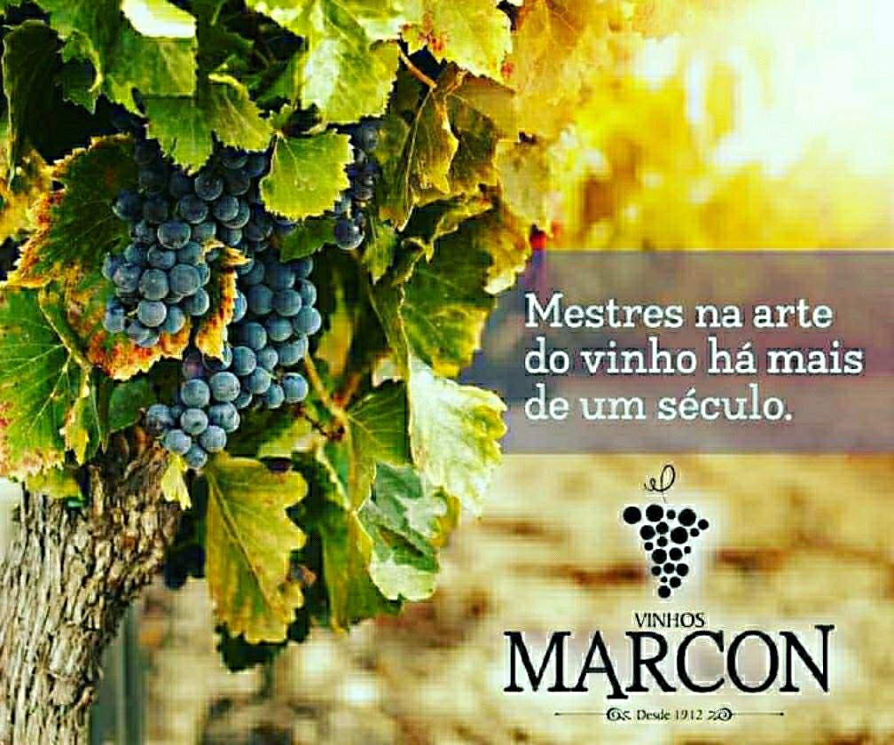 minaswine's tweet photo. Vinhos de Minas! Vinhos do Brasil!🍷🍇 https://t.co/mSJKcxWyS2