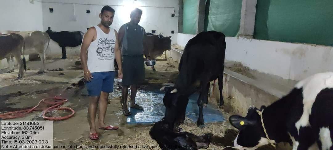 When it comes to Saving Lives, Veterinarians Forget their Comfort Zone
Dr. Debi Prasad Kund helped a Cow to Successfully Deliver a Male Calf
<a href="/rajaaswain/">Ranendra Pratap Swain</a> <a href="/CMO_Odisha/">CMO Odisha</a> <a href="/dahvsodisha/">Directorate of AH&VS Odisha</a> @farddept