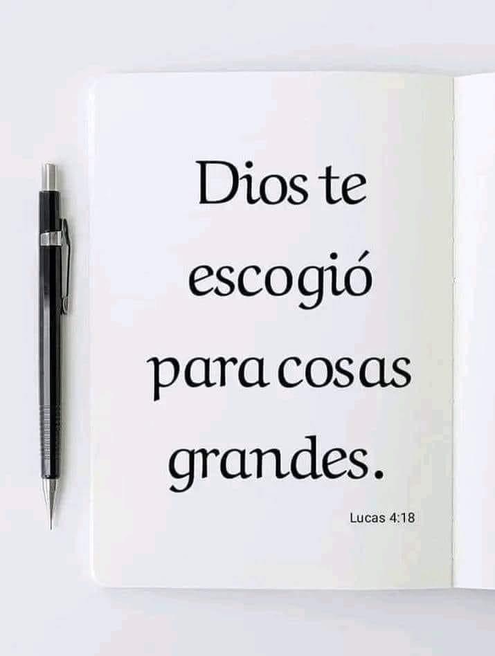 Paulo Coelho Español (@paulocoelhodice) on Twitter photo 