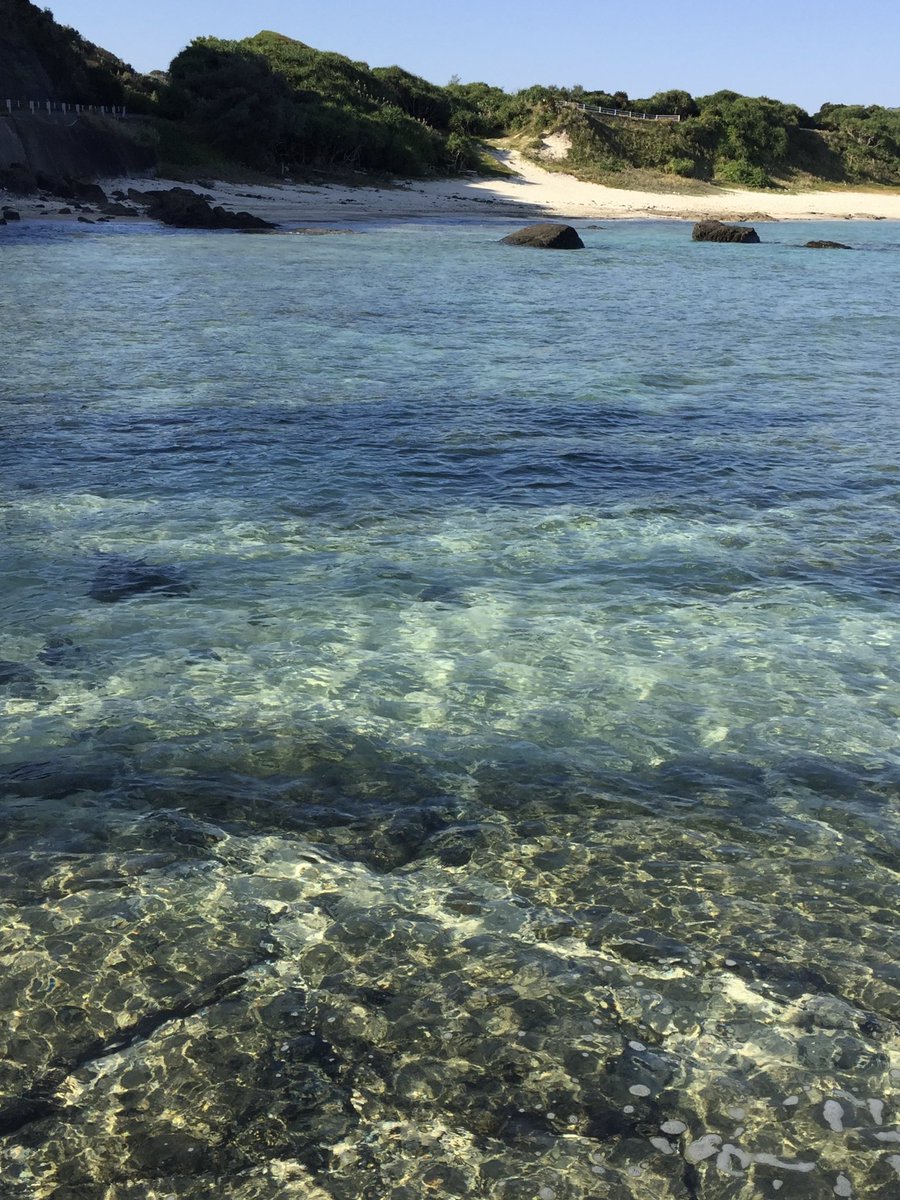 IwVh80ctNkTni4A's tweet image. また奄美でチルしたい

 #カコウミ