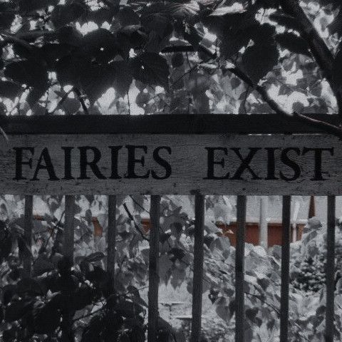 “Really? You all have to sleep with Magnus Bane? How exciting for you.”

Wild Hunter | Son of the King | Prince of the Frost Court | Keeper of the Cold Way | Sword of the Host | Not, my lord Kieran | Not, Faerie dirt | banter &amp; SLs | #TDA