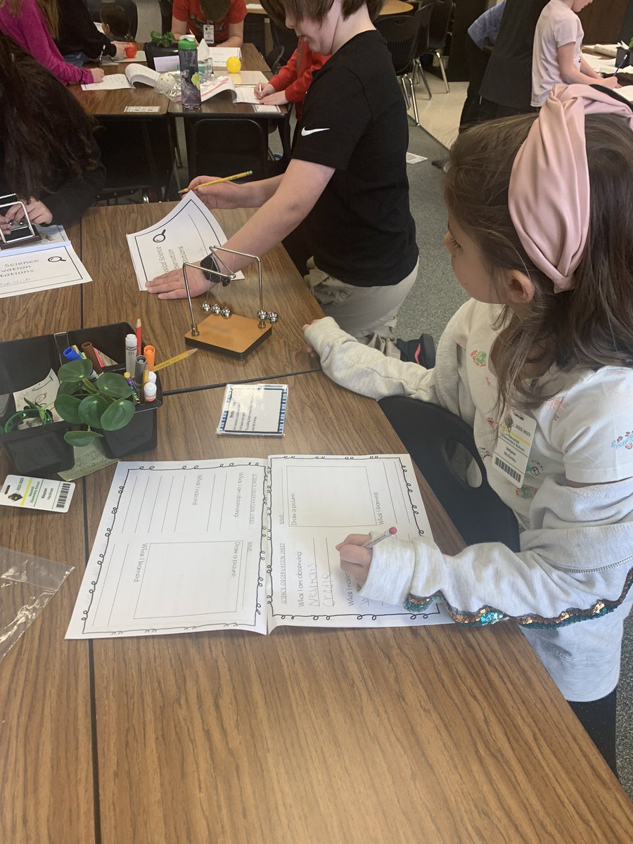 Mrs Eckert tweet media