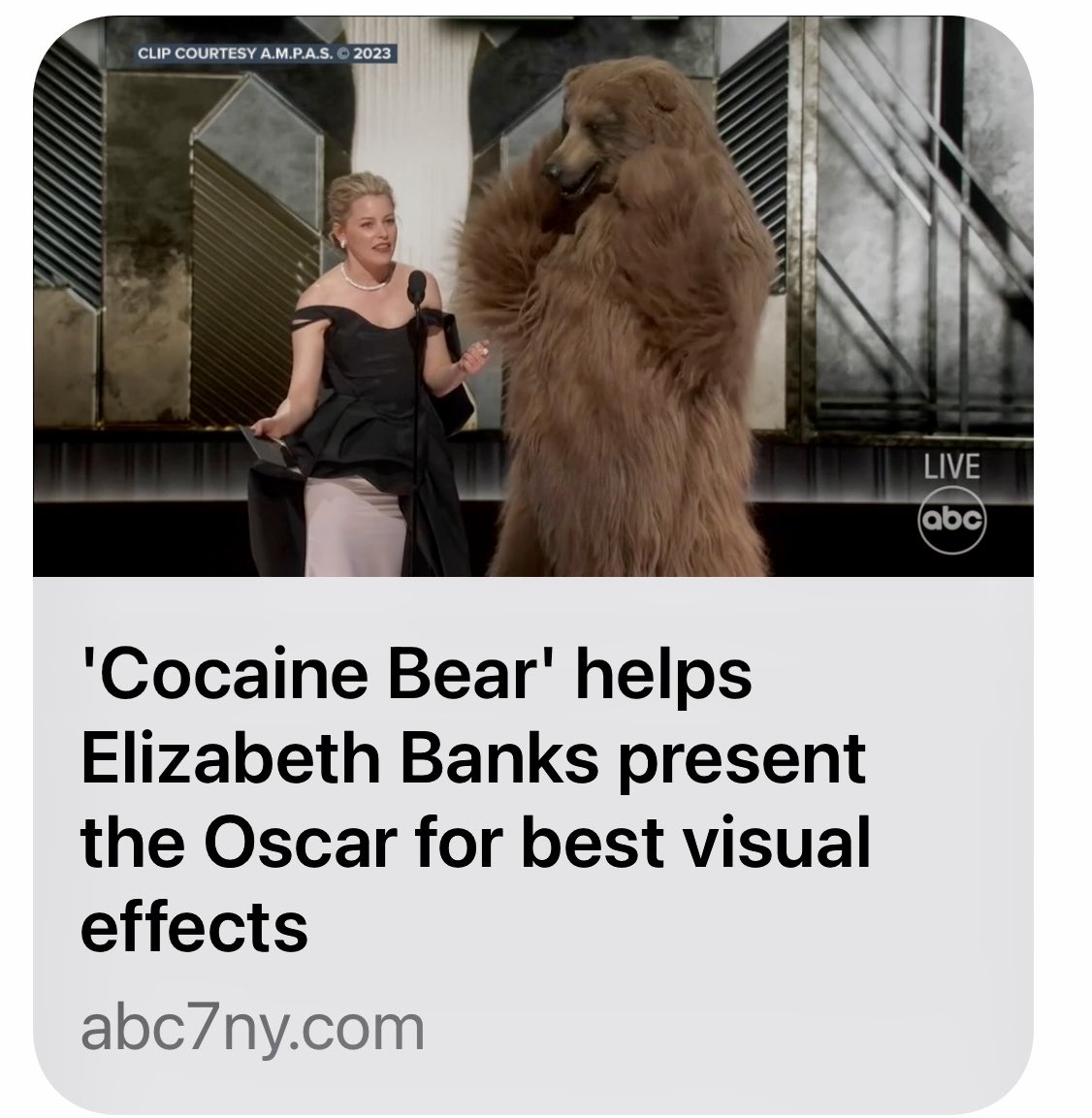 Animal Makers tweet media
