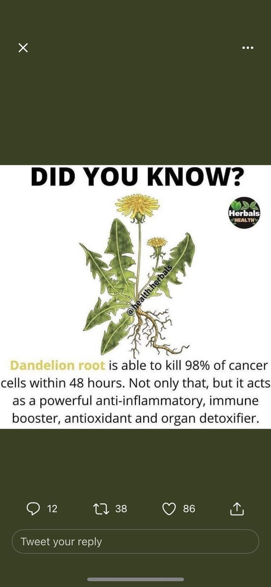 QosmicAJ1111🇨🇦 🇺🇸👽french Canadian gay Trumper (@andyjak967) on Twitter photo 