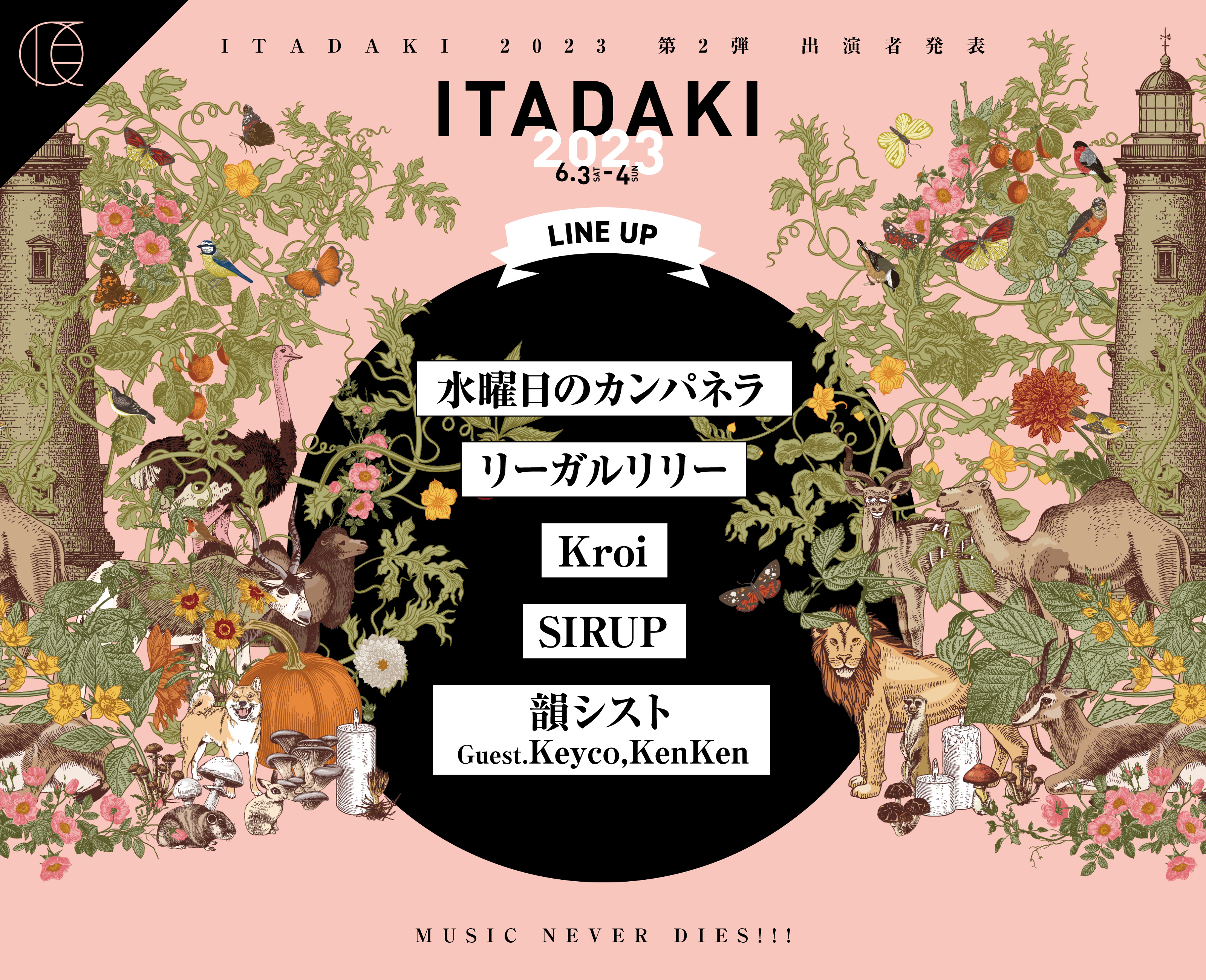 頂 -ITADAKI- 2023 (@ITADAKIfes_BBB) / Twitter