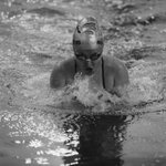 Photo by Morningside Swimming (@MorningsideSwim)
