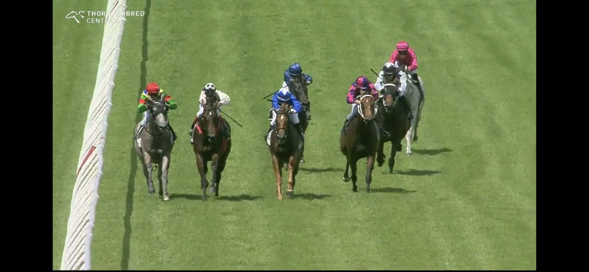 Matthew Dunn Racing on Twitter "Zelgaria competed in Race 1 a