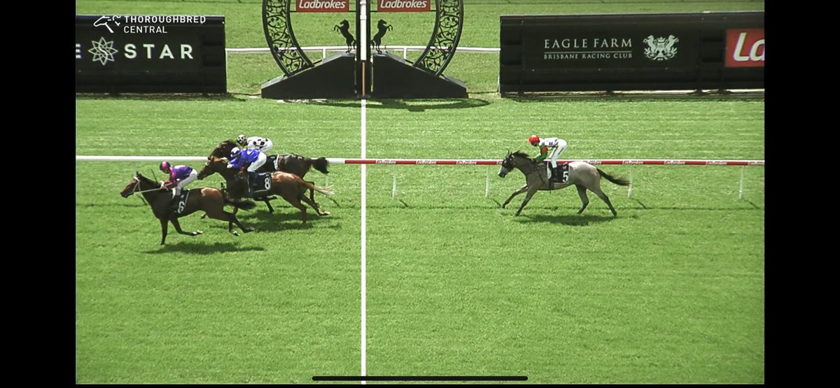 Matthew Dunn Racing on Twitter "Zelgaria competed in Race 1 a