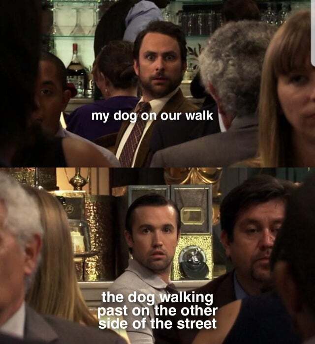 preciousdoggo's tweet photo. Alright, alright.... too much internet for Today 😂 🐶
Time to call it a day and hopefully this was an amazing day and you had a blast 🤓 🐶
Anyways, give a hug to your doggo ❤️
#dogs #dog #doggo #doglife #dogowners #doglovers #sleep #timetobed #tired #duo #dogsoftwitter https://t.co/3Ri9mflRpK