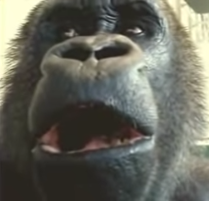 FantaZom tweet media