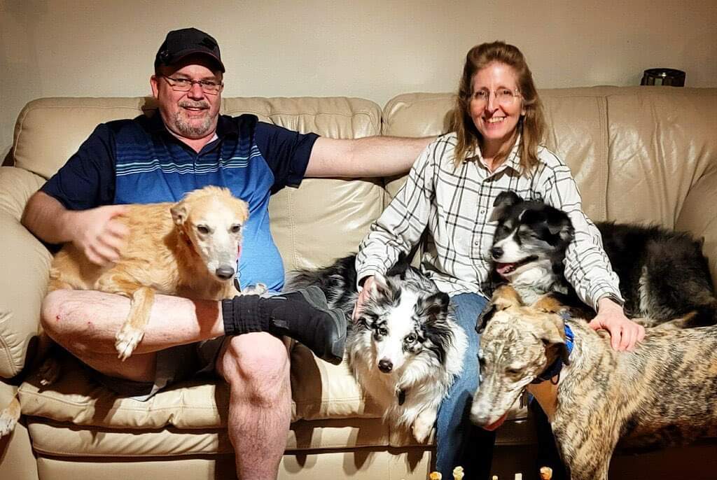KCREGAP's tweet photo. A double adoption!! 💚💚
Such a happy day for Chelsea, left, & Bonzai, far right. They were adopted by Brian & Terri & will join their Aussie Shepherd siblings for nonstop fun!
We wish you so much happiness. 💚🐾
#kcregap
#gotchaday
#doubleadoption
#retiredgreyhounds https://t.co/Wg66e24EZS