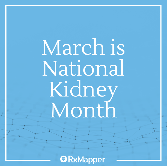 rxmapper's tweet photo. It’s National Kidney Month!

Kidney's are important filters that removes waste and toxins, and balances the fluids of patients. 

It is estimated that 37 million U. S. adults have chronic kidney disease (CKD). Early detection of this can help prevent the progression of CKD.

#pgx https://t.co/u8Mm5euZmR