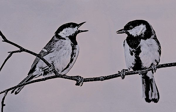 R1SESLIKEDAWN's tweet photo. oh it’s Titty Tuesday ?? Here let her give you a picture of some great tits ! https://t.co/hYJpCKd9jr