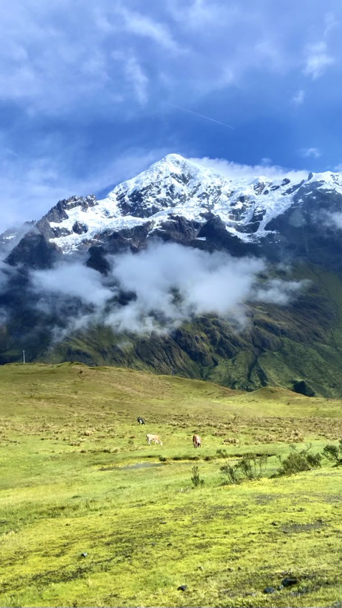 Life is Majestic. 🏔️

Ande Mountains of Peru