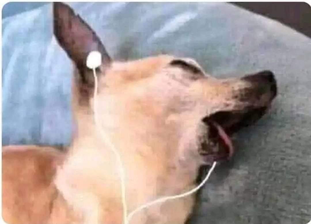*Yo escuchando #ferxxo
