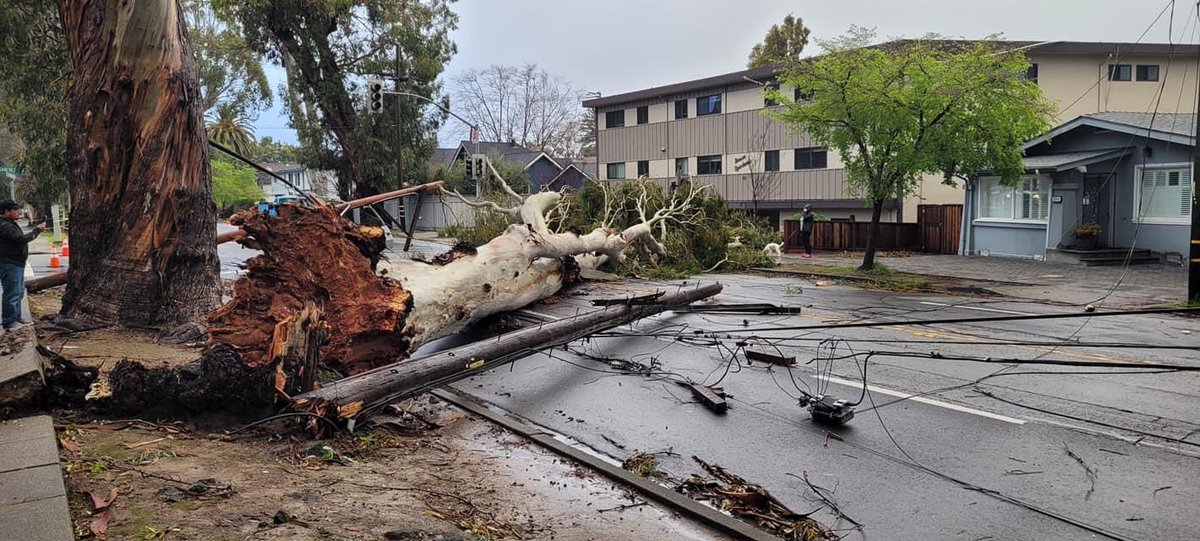 El Camino remains closed due to multiple tree failures.  Miraculously, no one was hurt.  City, Caltrans and PG&amp;E are hard at work to reopen the road and restore power to the many residents that are still in the dark.h