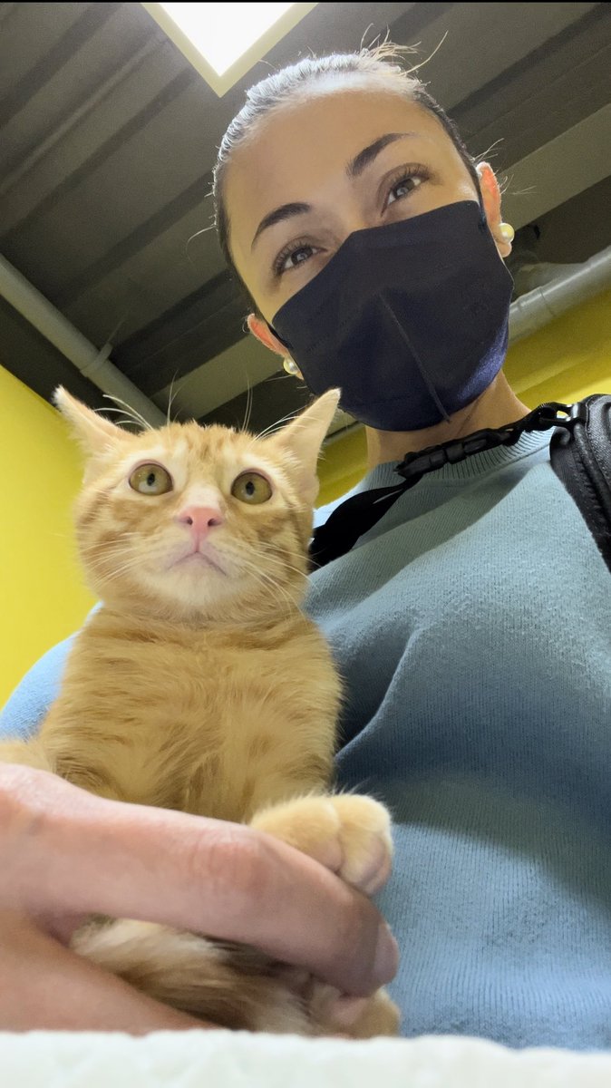 JodiStaMaria's tweet photo. Vet day with Naia 🤍 Good morning everyone 🤍 https://t.co/1eyvxG4MCn