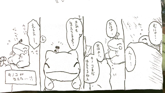 おはようございます。
今日のみがわり劇場1715 #みがわり劇場 #pokeon #Substitute 