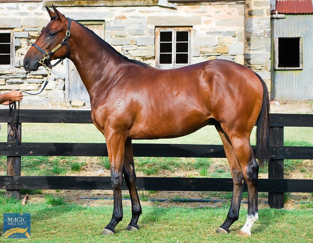 Dylan Dunn tweet media