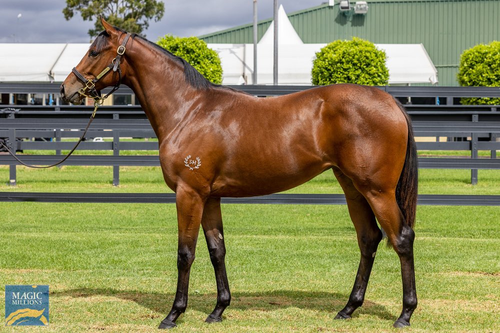 Dylan Dunn tweet media