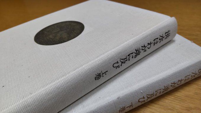 在庫僅少】 大江健三郎「 宙返り 」上下2巻(書評版-非売品) dgipr