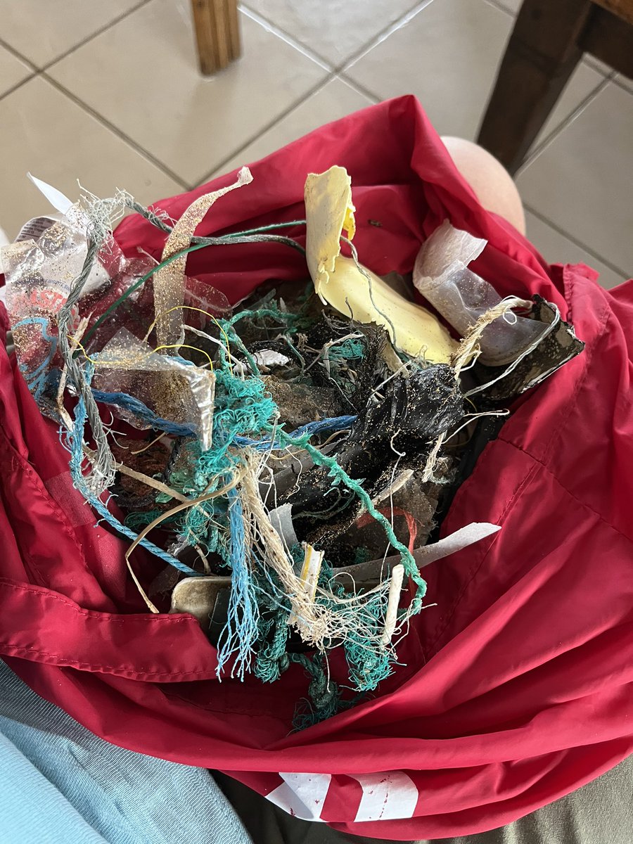 Kristin Visscher (@visschinspired) on Twitter photo Nope, not looking for shells. I’m committed to #pickup3 (x100) even when I’m on vacation. I ❤️ my ocean. 🐋🐠🐡🌊 <a href="/OceanAmbCanada/">Ocean Ambassadors</a> Nope, not looking for shells. I’m committed to #pickup3 (x100) even when I’m on vacation. I ❤️ my ocean. 🐋🐠🐡🌊 <a href="/OceanAmbCanada/">Ocean Ambassadors</a>