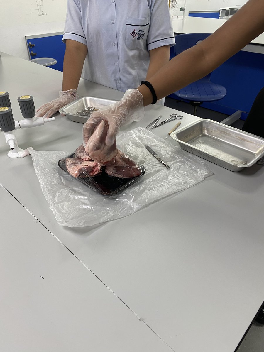 Science | Dubai British School tweet media