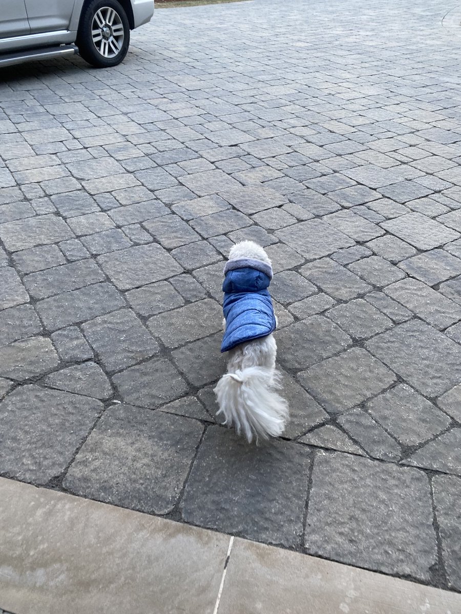 Yes! @coopachino just inked a deal with ⁦<a href="/LLBean/">L.L.Bean</a>⁩