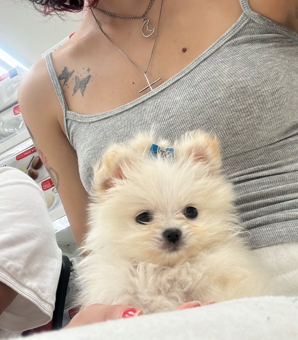 Minha princesa j&aacute; est&aacute; comigo em casinha 🥺❤️🙏🏻 https://t.co/f95D30S91j