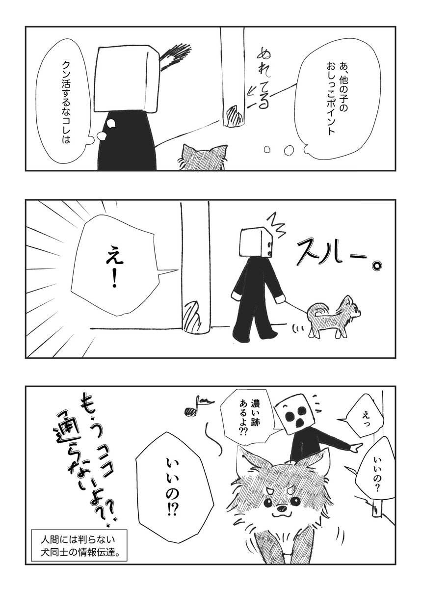 ワンコといると超楽しい

#エッセイ漫画
#チワワのいる暮らし 