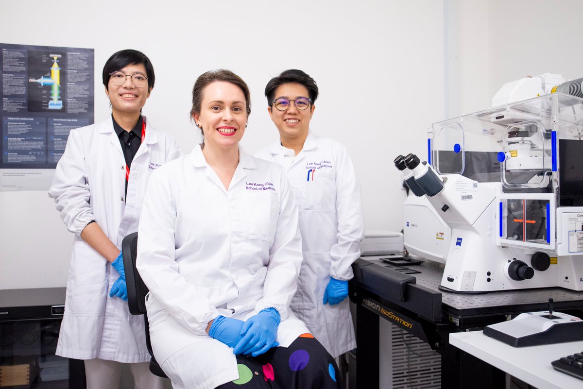 NTUsg's tweet photo. 💊 #NTUsg scientists may have found a way to spur brain immune cells into clearing toxic waste linked to #Alzheimers disease. This breakthrough could provide new possibilities for developing new drugs targeted at Alzheimer's disease. @NTU_LKCMedicine  https://t.co/oL2CQBkhIz https://t.co/OpbmkkEvlj