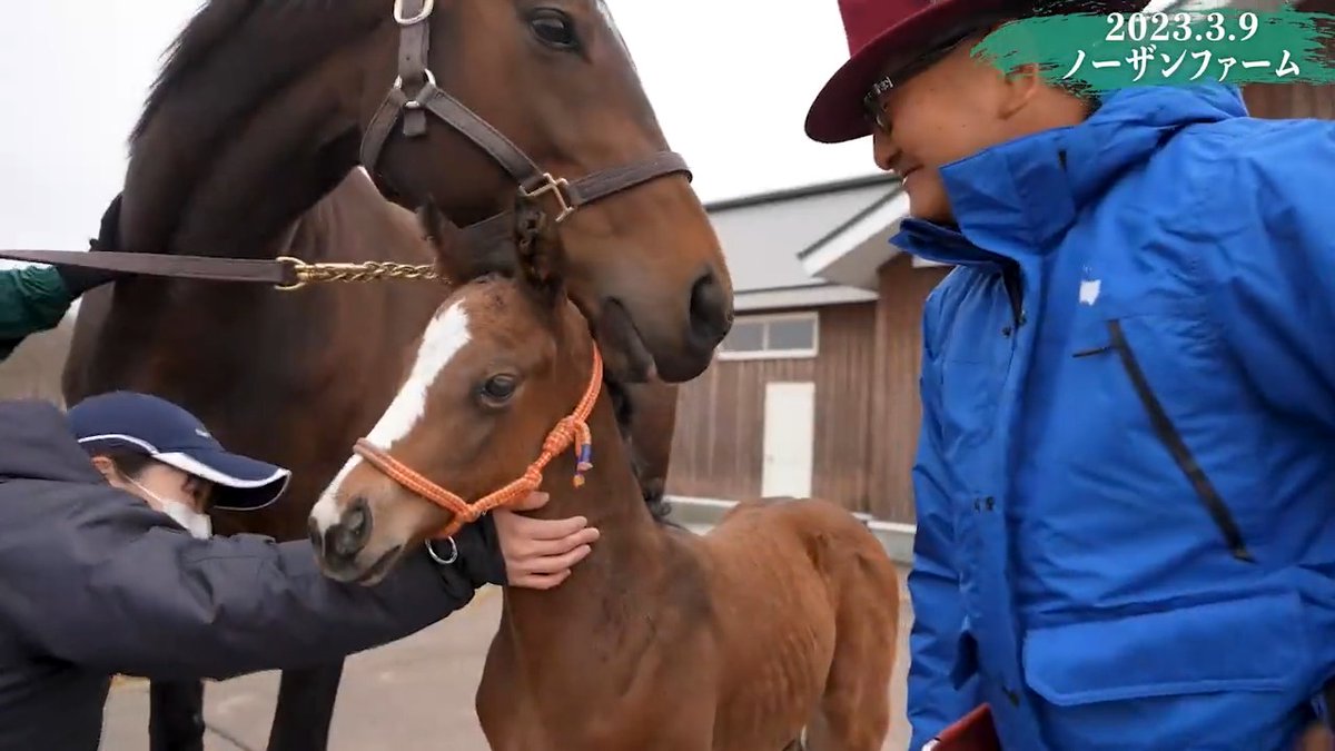 矢作先生とラヴズオンリーユーと子馬❣️マルシュロレーヌの子も　どうかどうか母子ともに　無事元気に産まれてきてくれますように🙇‍♀️⤵️ 