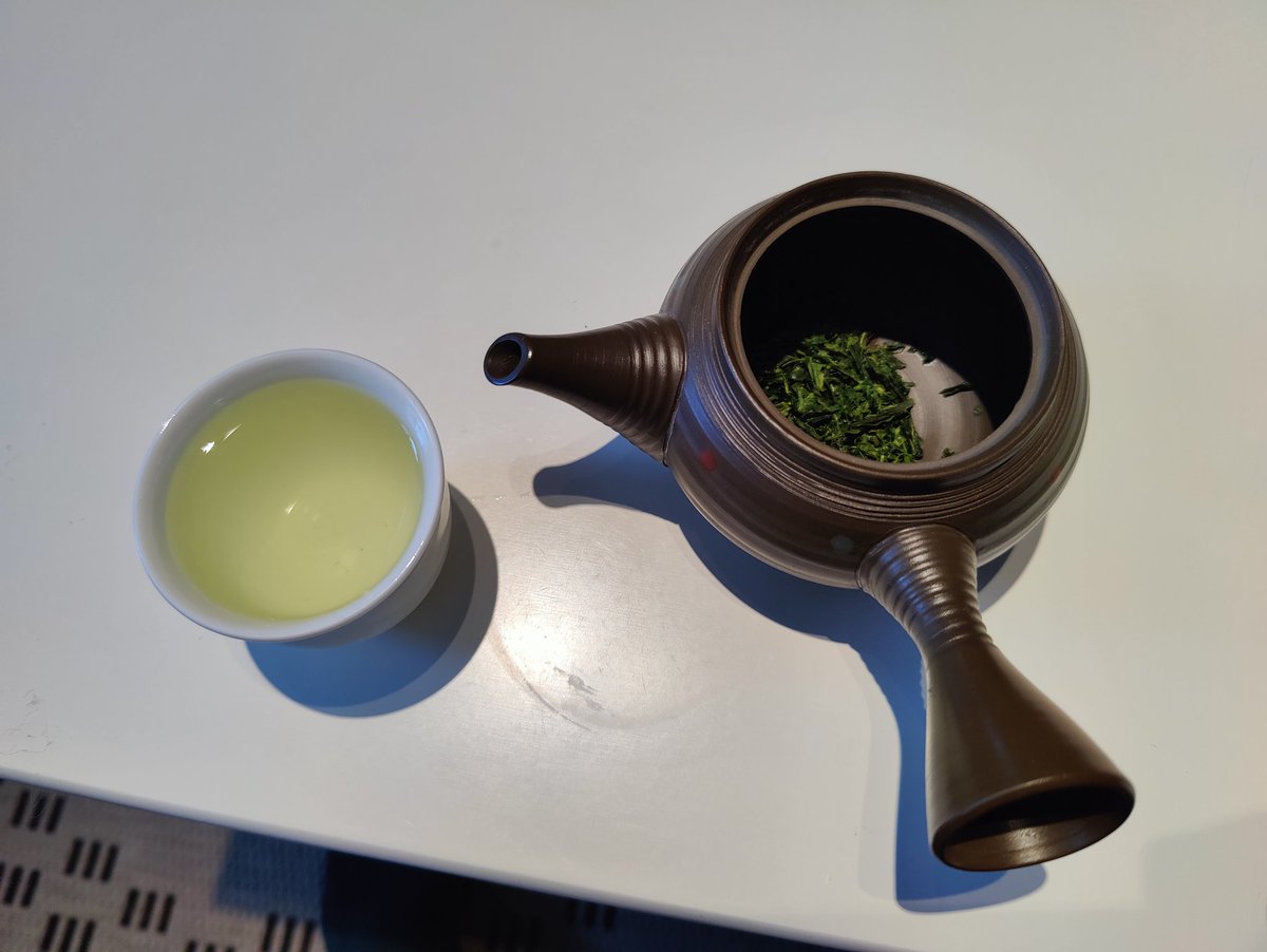 FFeFox 🏜️🦊 tweet media