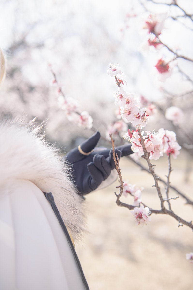 おそら🍆 tweet media