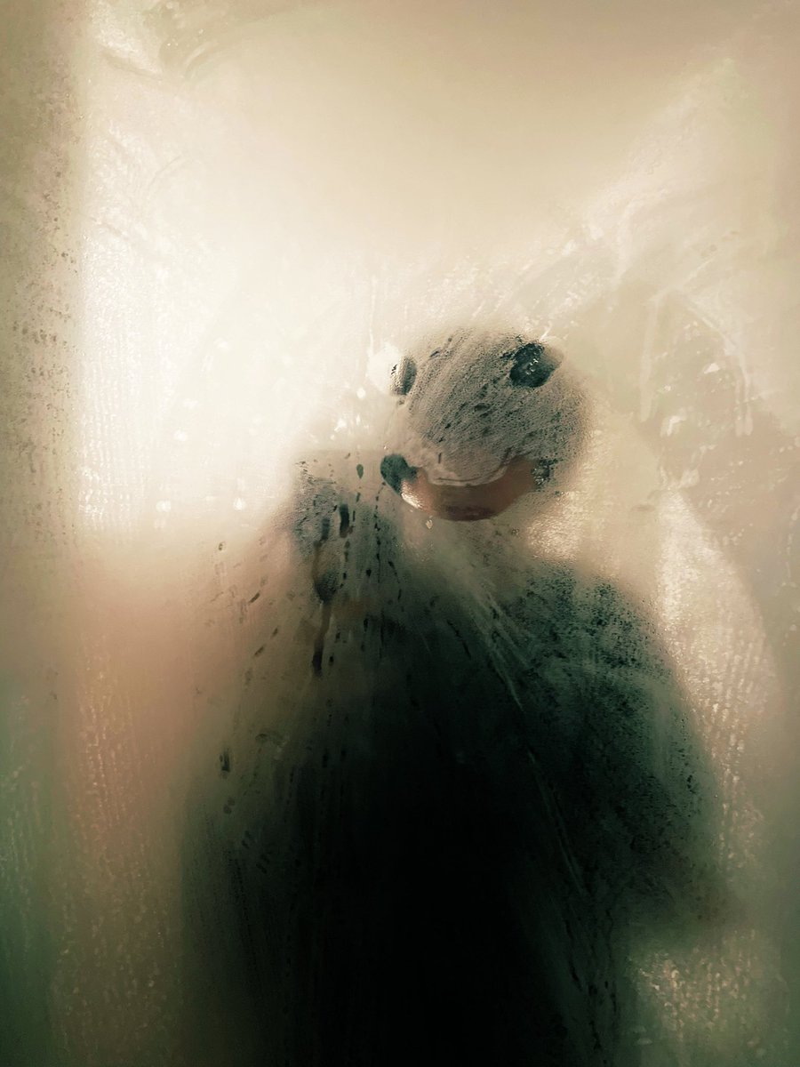 bugbrainerd's tweet image. 