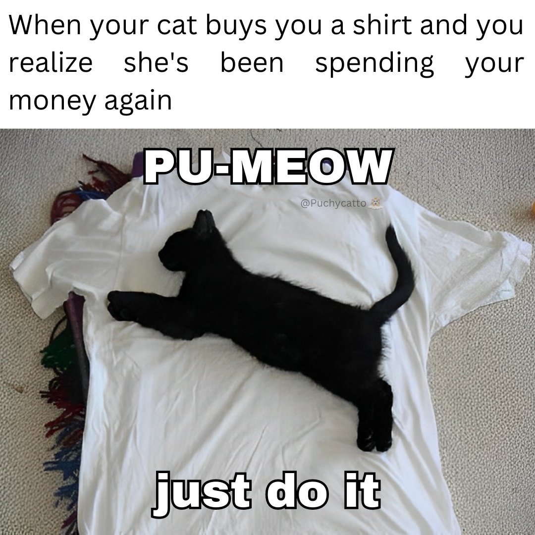 Iwantthatcat's tweet photo. 😹PU-MEOW, just do it😹

When you're cat buys you a shirt and you realize she's been spending your money again💸👕🛍️😹😹
#catshopping #catbrand https://t.co/ZhqZOzqZ8N