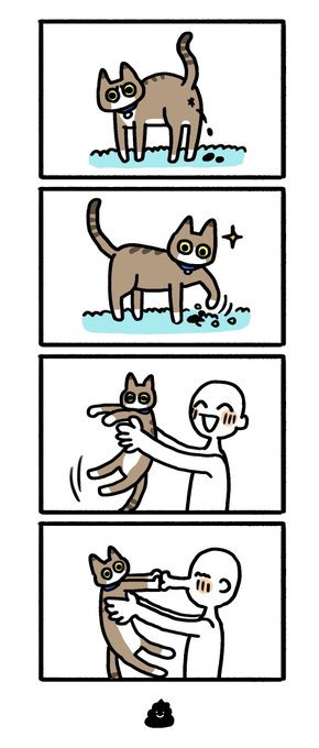 さだめ 